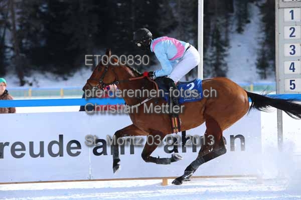ET0Q0830 prot
